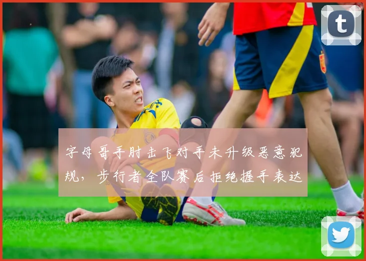 字母哥手肘击飞对手未升级恶意犯规，步行者全队赛后拒绝握手表达抗议